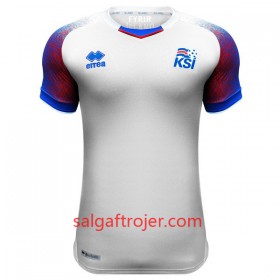 Island Fodboldtrøjer Dame Udebanesæt VM 2018